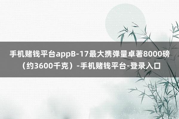 手机赌钱平台appB-17最大携弹量卓著8000磅（约3600千克）-手机赌钱平台-登录入口