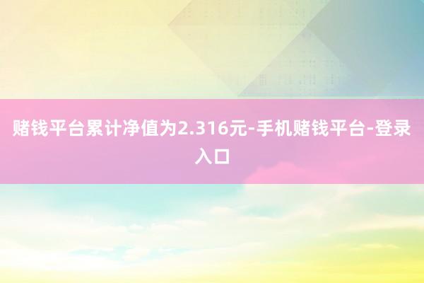 赌钱平台累计净值为2.316元-手机赌钱平台-登录入口